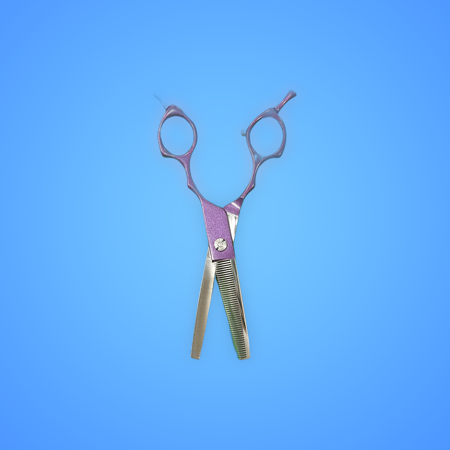 6.5" Purple Straight Asian Fusion Grooming Shears