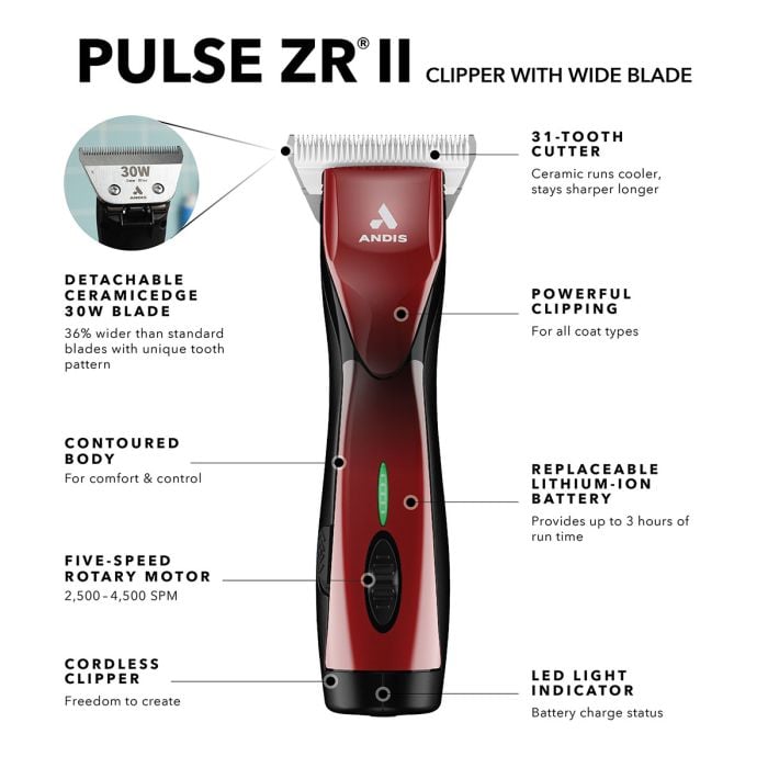 Pulse ZR II Black