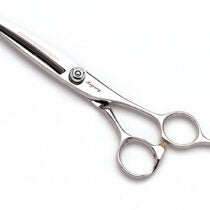 Shisato Regency Shear 5.5" or 6"