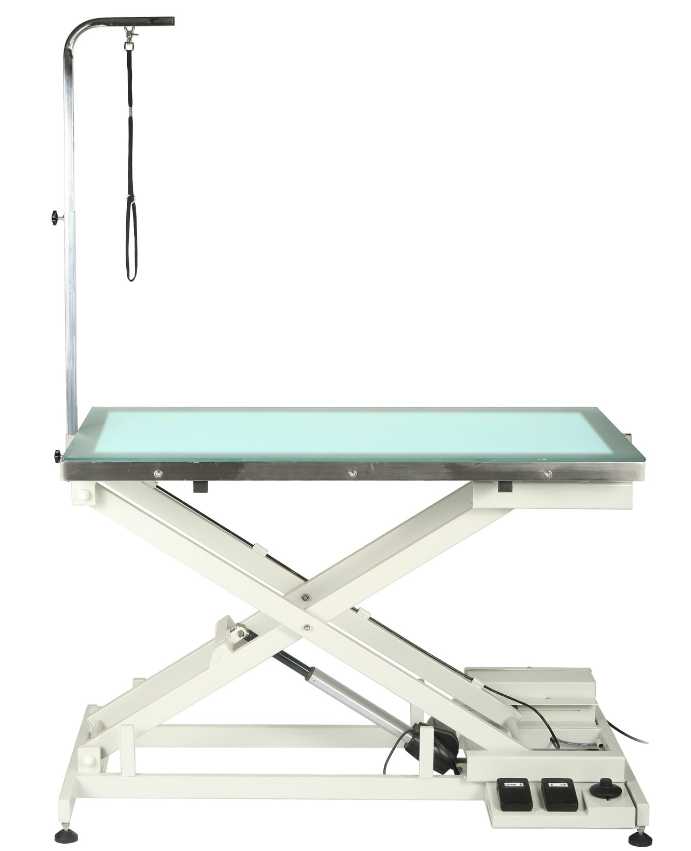 AEOLUS FT-829 GROOMING TABLE WITH LED LIGHT